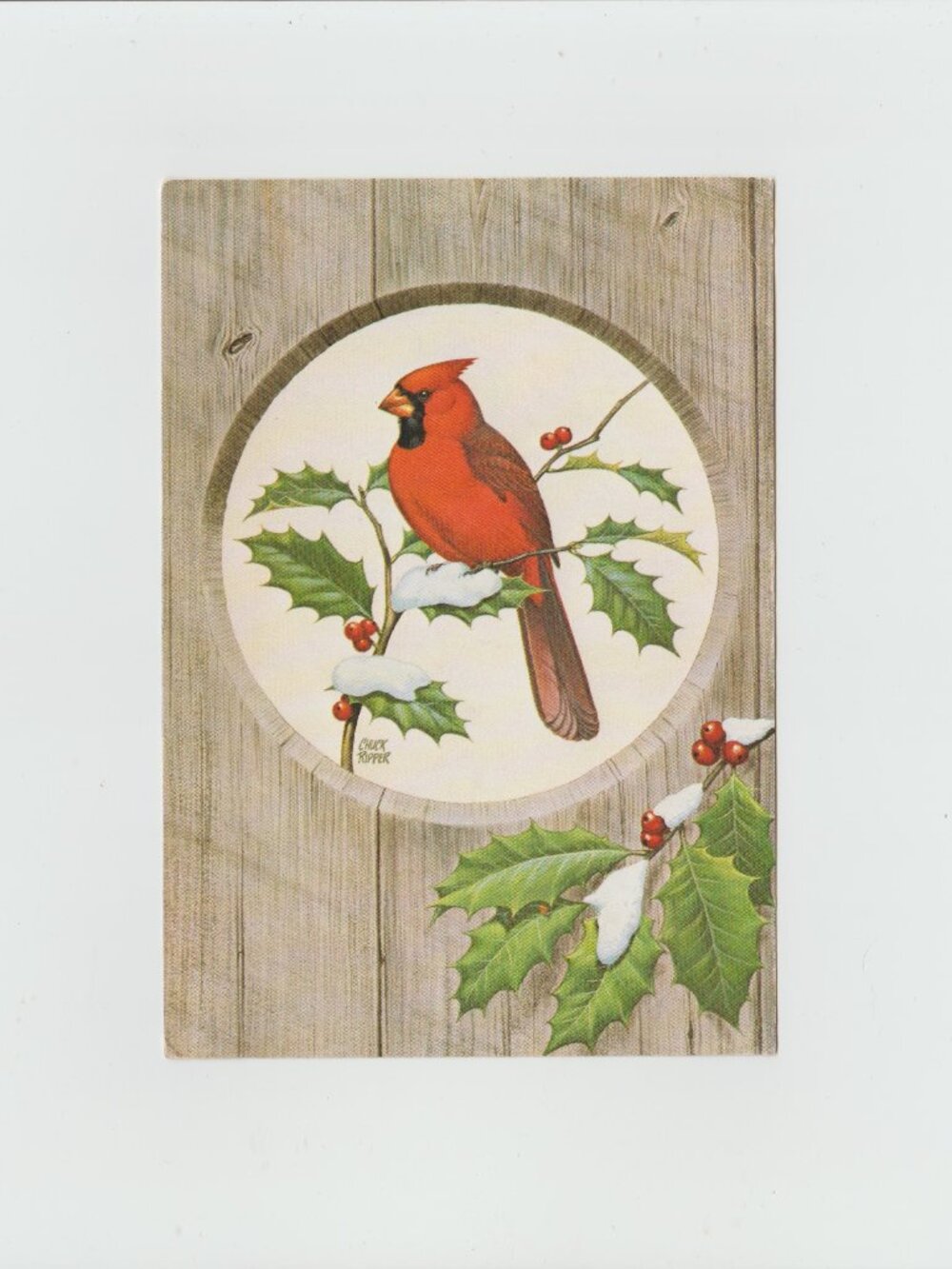 Vintage Seasons Greeting Cardinal Postcard